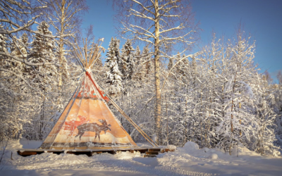 Newsletter December 2025